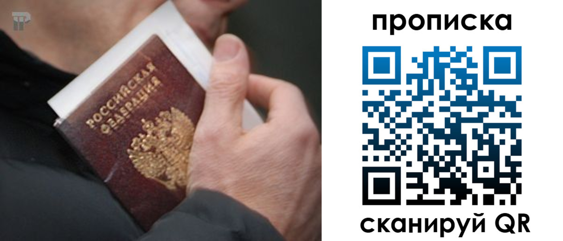временная регистрация гарантия в Дубне
